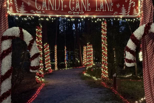 Candy Cane Lane

