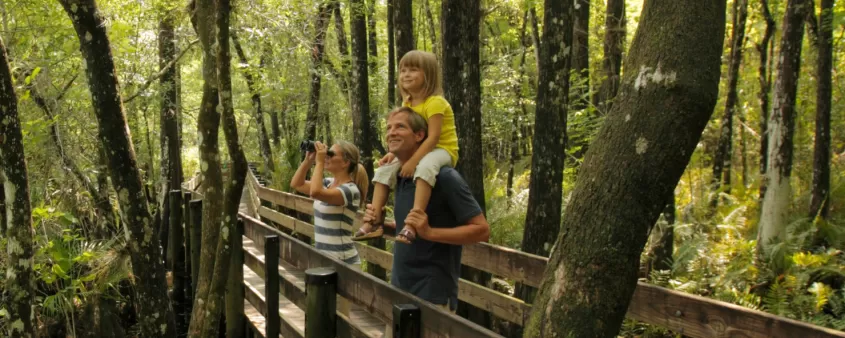 Reconnecting in nature